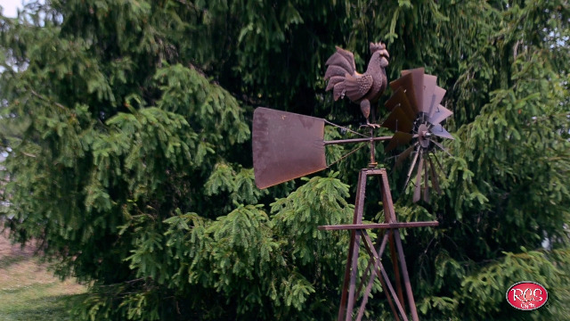 Amazon.com: Red Carpet Studios Windmill Wind Spinner Yard Art, 67